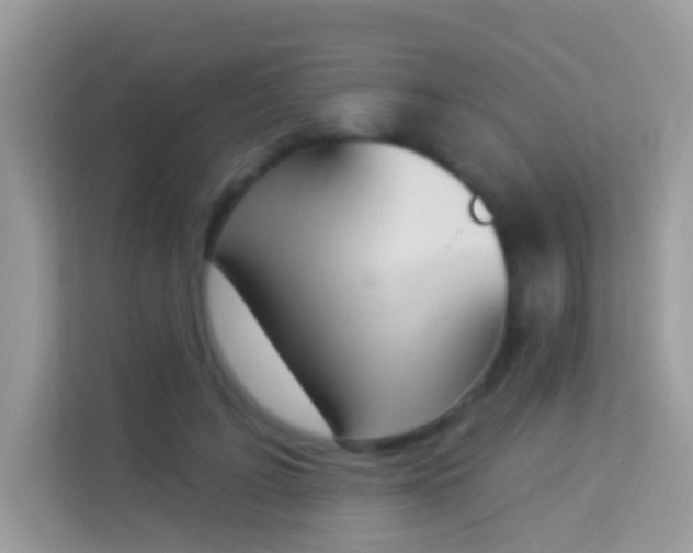 X0000114240595200910091510