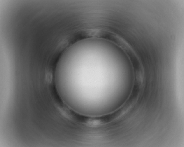 X0000114240602200910091510