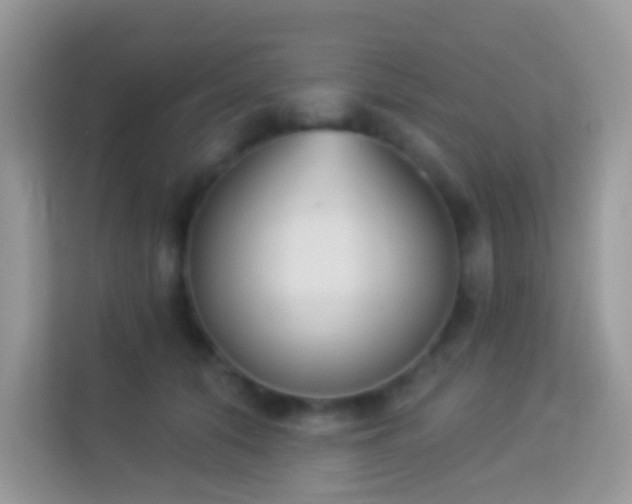 X0000114240608200910091510
