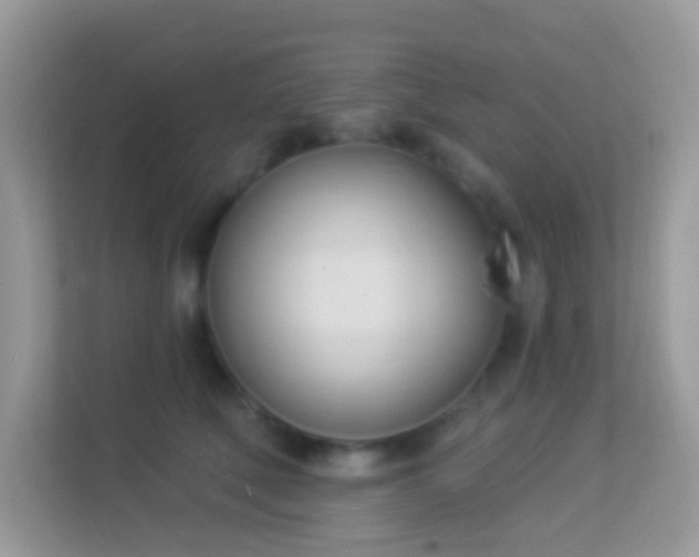 X0000114240610200910091510