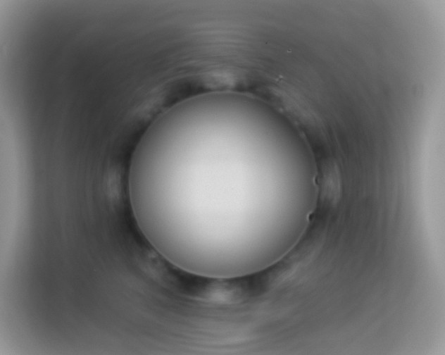 X0000114240616200910091510