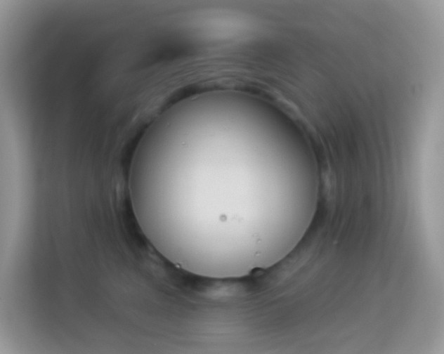 X0000114240617200910091510