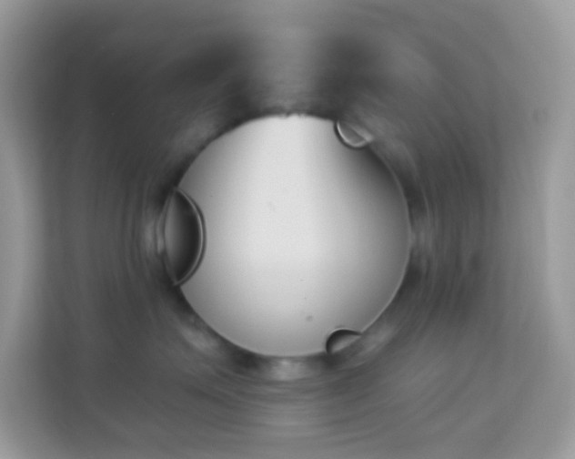 X0000114240623200910091510