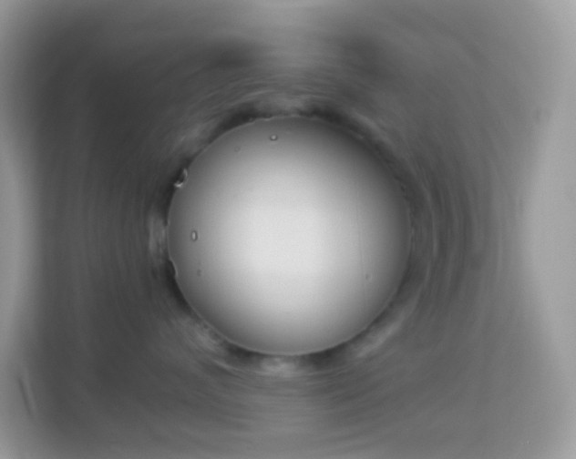 X0000114240624200910091510