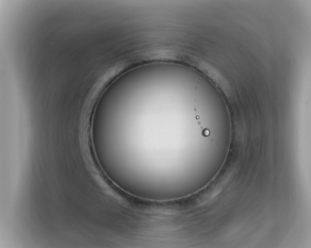 X0000114240625200910091509