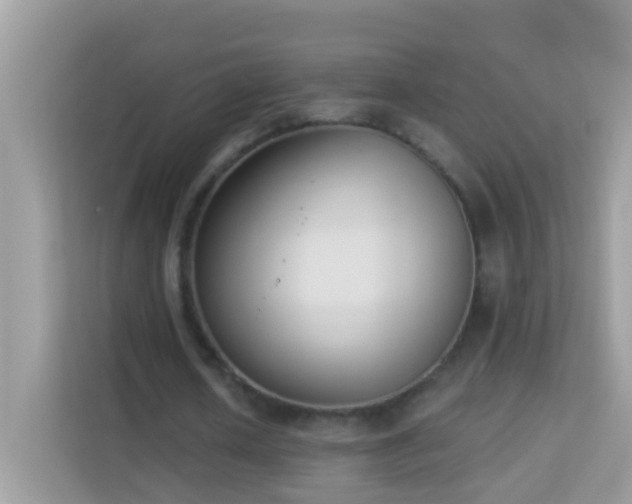 X0000114240626200910091509