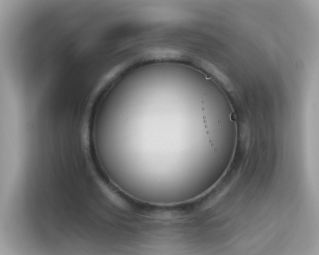 X0000114240629200910091509
