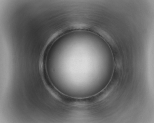 X0000114240630200910091509