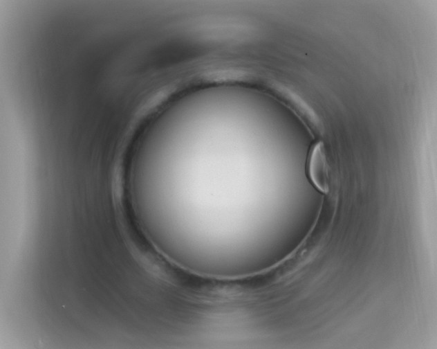 X0000114240631200910091509