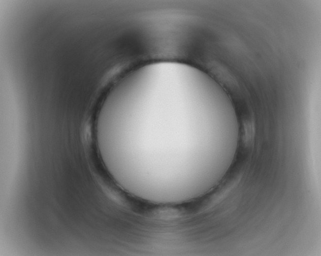X0000114240636200910091509