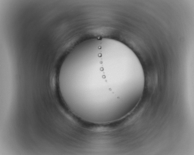 X0000114240637200910091509
