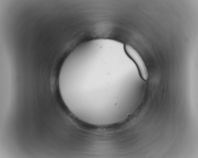 X0000114240641200910091509