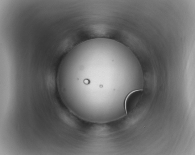 X0000114240642200910091509