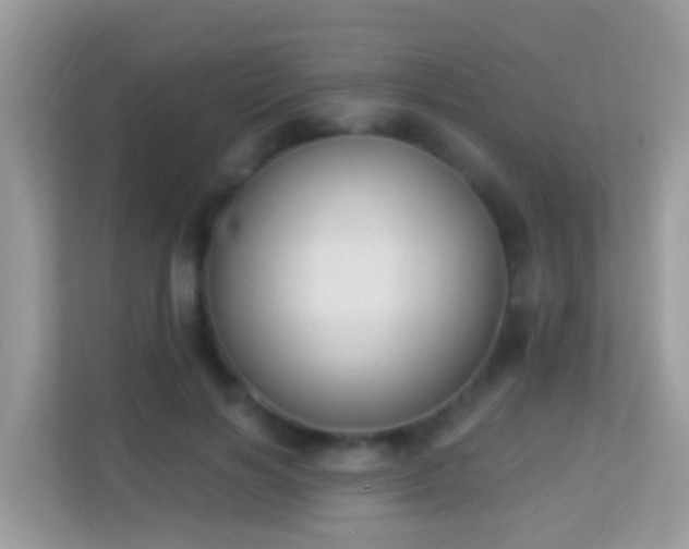 X0000114240646200910091509