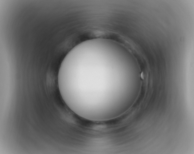 X0000114240653200910091509