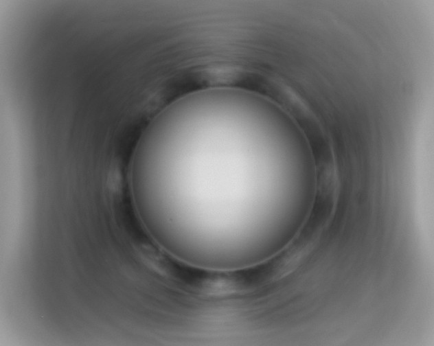 X0000114240655200910091509