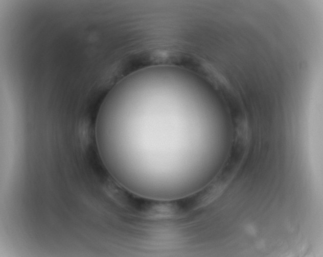 X0000114240659200910091510