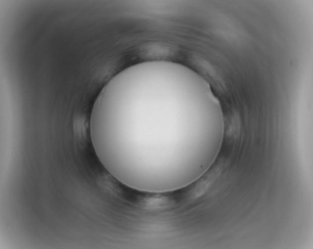 X0000114240669200910091510