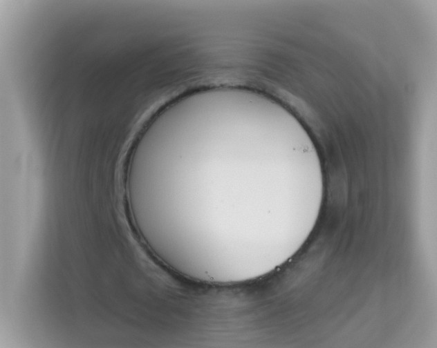 X0000114240673200910091509