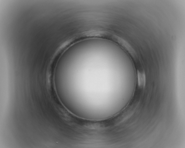 X0000114240675200910091509