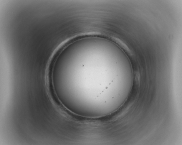 X0000114240676200910091509