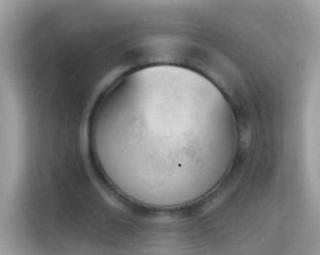 X0000114240678200910091509