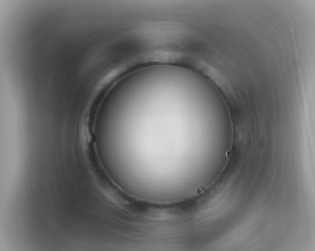 X0000114240679200910091509