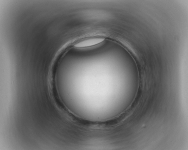 X0000114240680200910091509