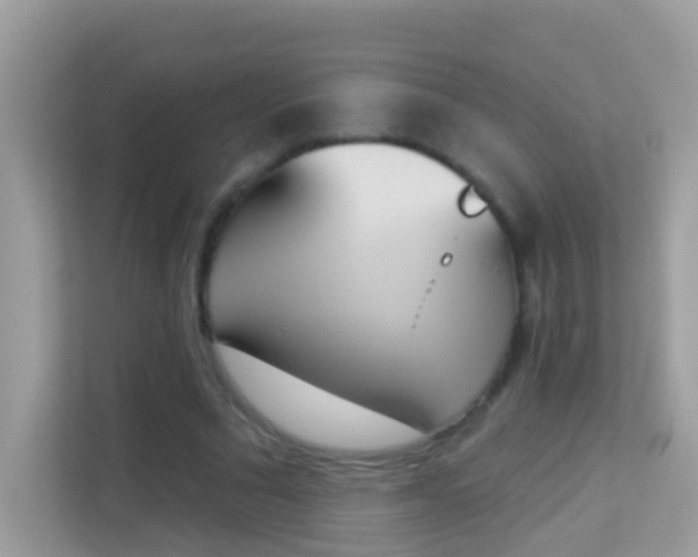 X0000114240681200910091509
