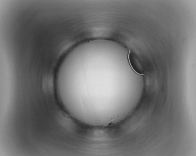 X0000114240684200910091509