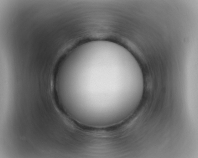 X0000114240685200910091509