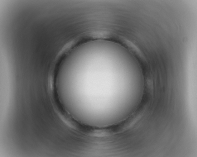 X0000114240686200910091509