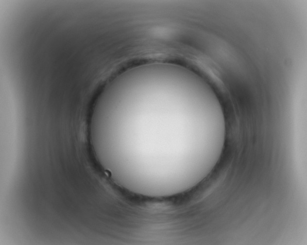 X0000114240689200910091509