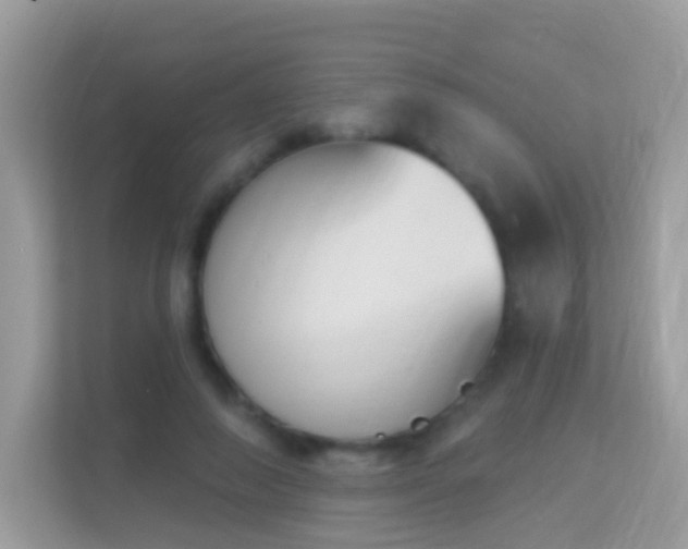 X0000114240690200910091509