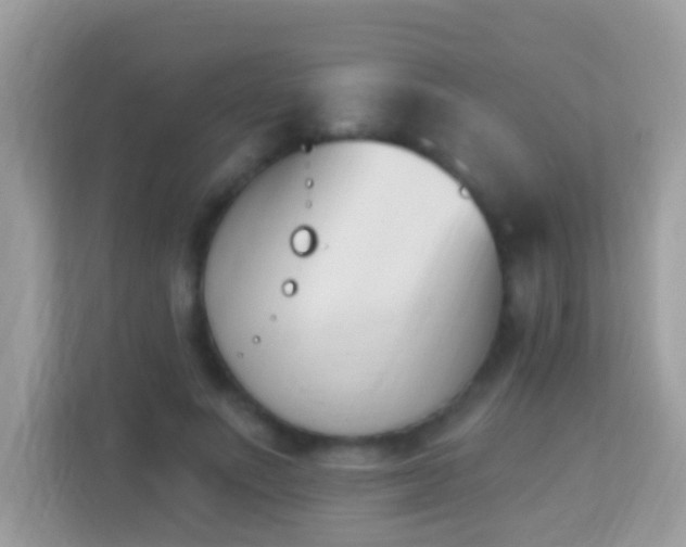 X0000114240691200910091509