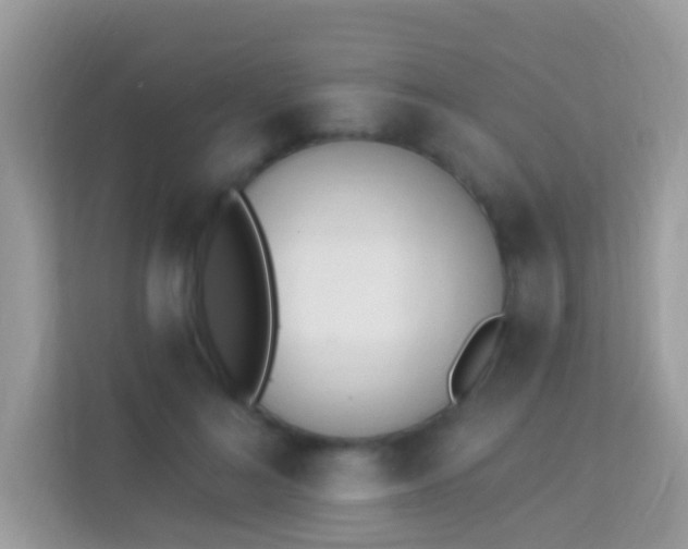 X0000114240692200910091509