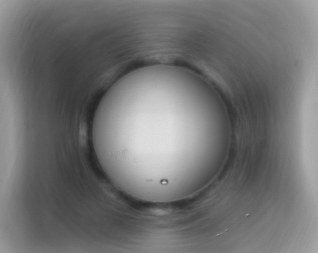 X0000114240693200910091509