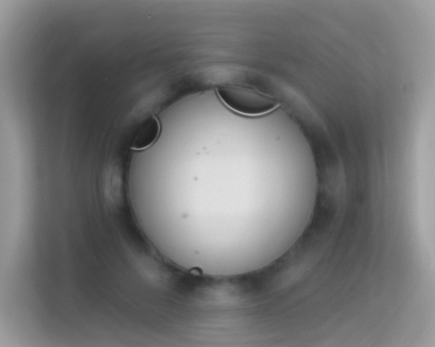 X0000114240696200910091509