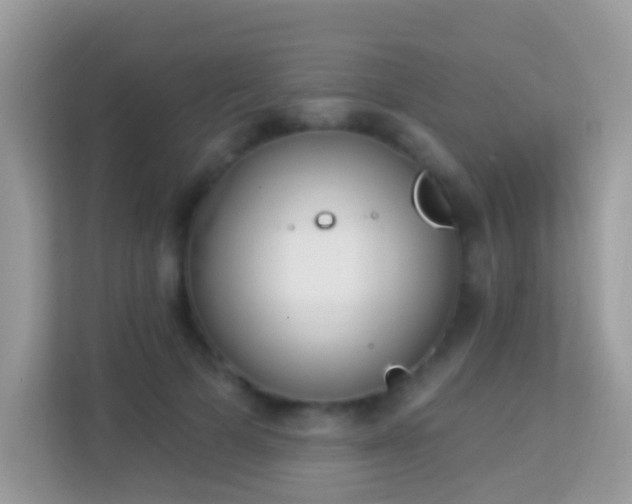 X0000114240697200910091509
