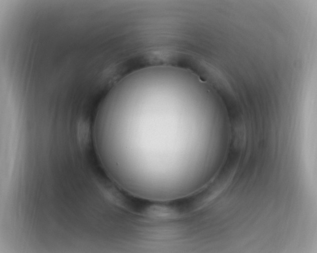 X0000114240699200910091509