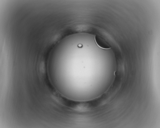 X0000114240700200910091509
