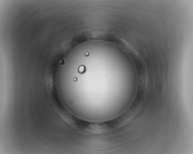 X0000114240703200910091509