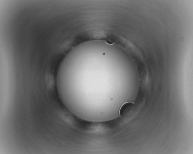 X0000114240704200910091509