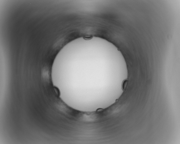 X0000114240720200910091508