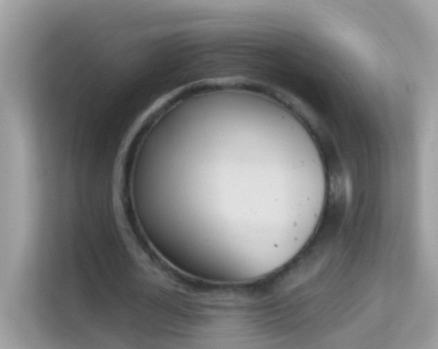 X0000114240724200910091508