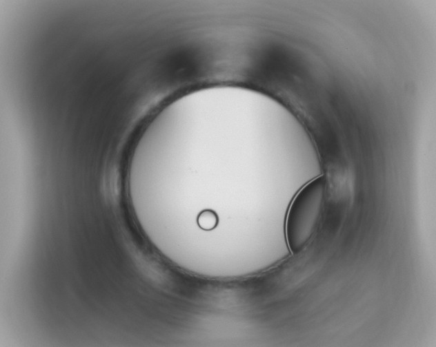 X0000114240726200910091508