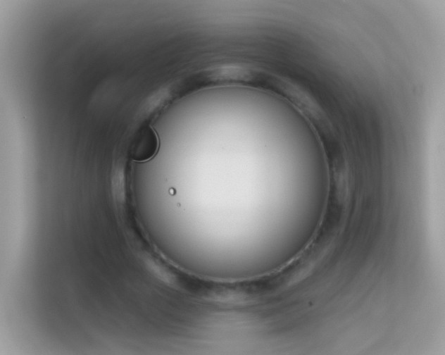 X0000114240729200910091508