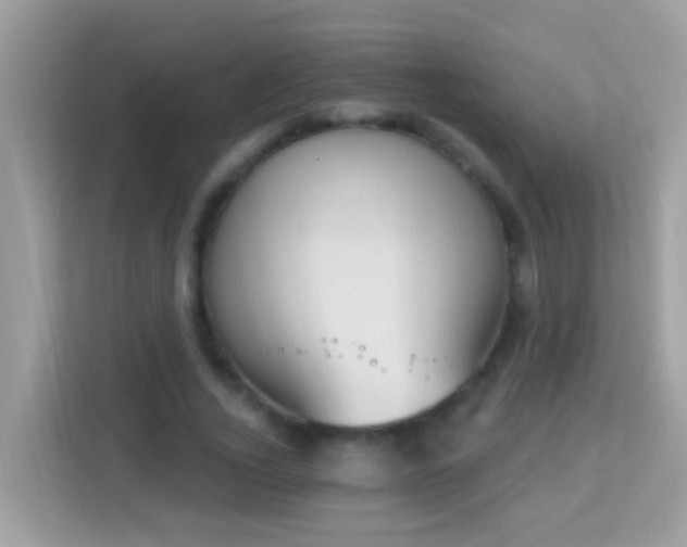 X0000114240732200910091508