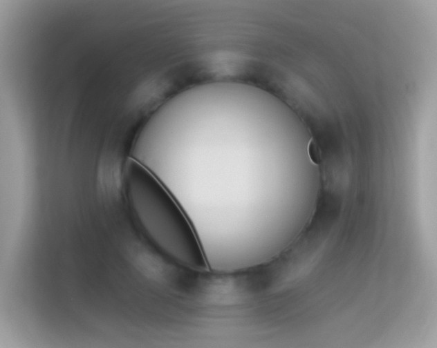 X0000114240740200910091508
