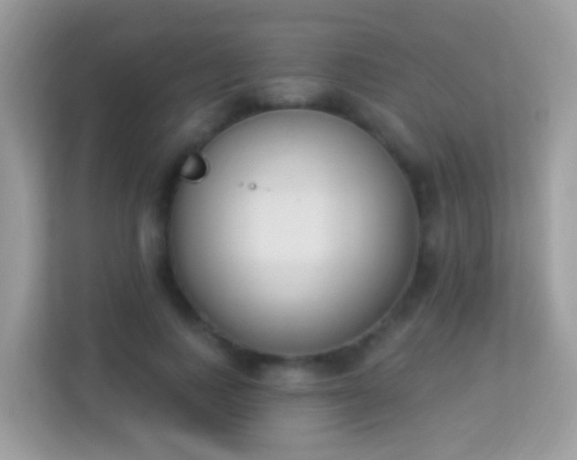 X0000114240743200910091508